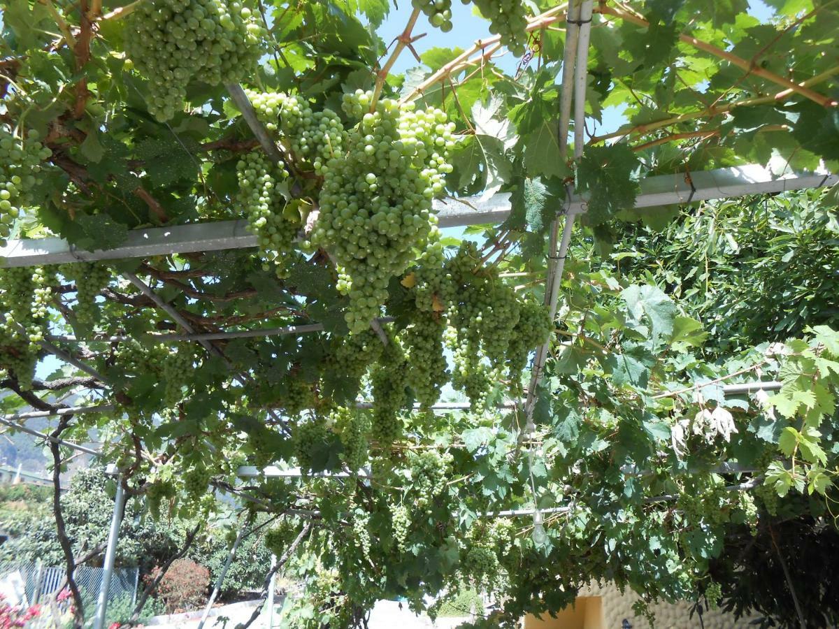 Casitas Las Uvas Y Las Vinas Los Realejos Luaran gambar